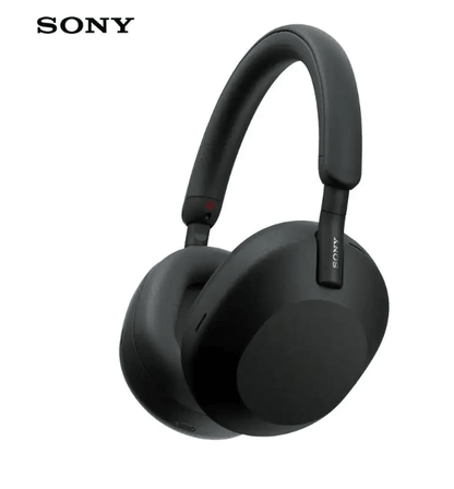 Wireless Noise-Cancelling Earphones